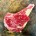 Beef