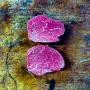 Angus Eye Fillet - 2 Pack