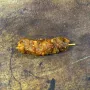 Tamarind & Lime Chicken Kebabs