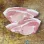 Pork Steaks
